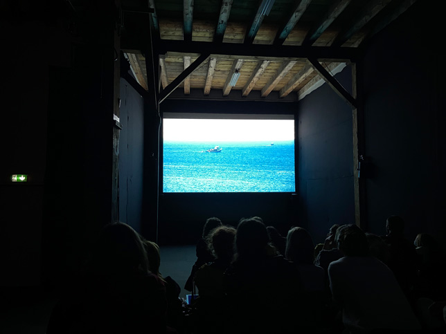 Special VIDEO WINDOW, Videoex 2021, Zurich: Maria Iorio & Raphaël Cuomo, Chronicles of That Time, 2021
