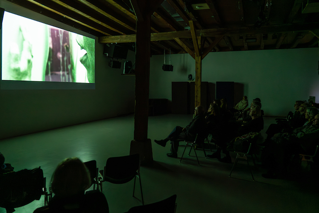 VIDEO WINDOW. Thrill Me, Art Space Walcheturm, Zurich, 18.11.23: Jannik Giger, Blind Audition, 2022